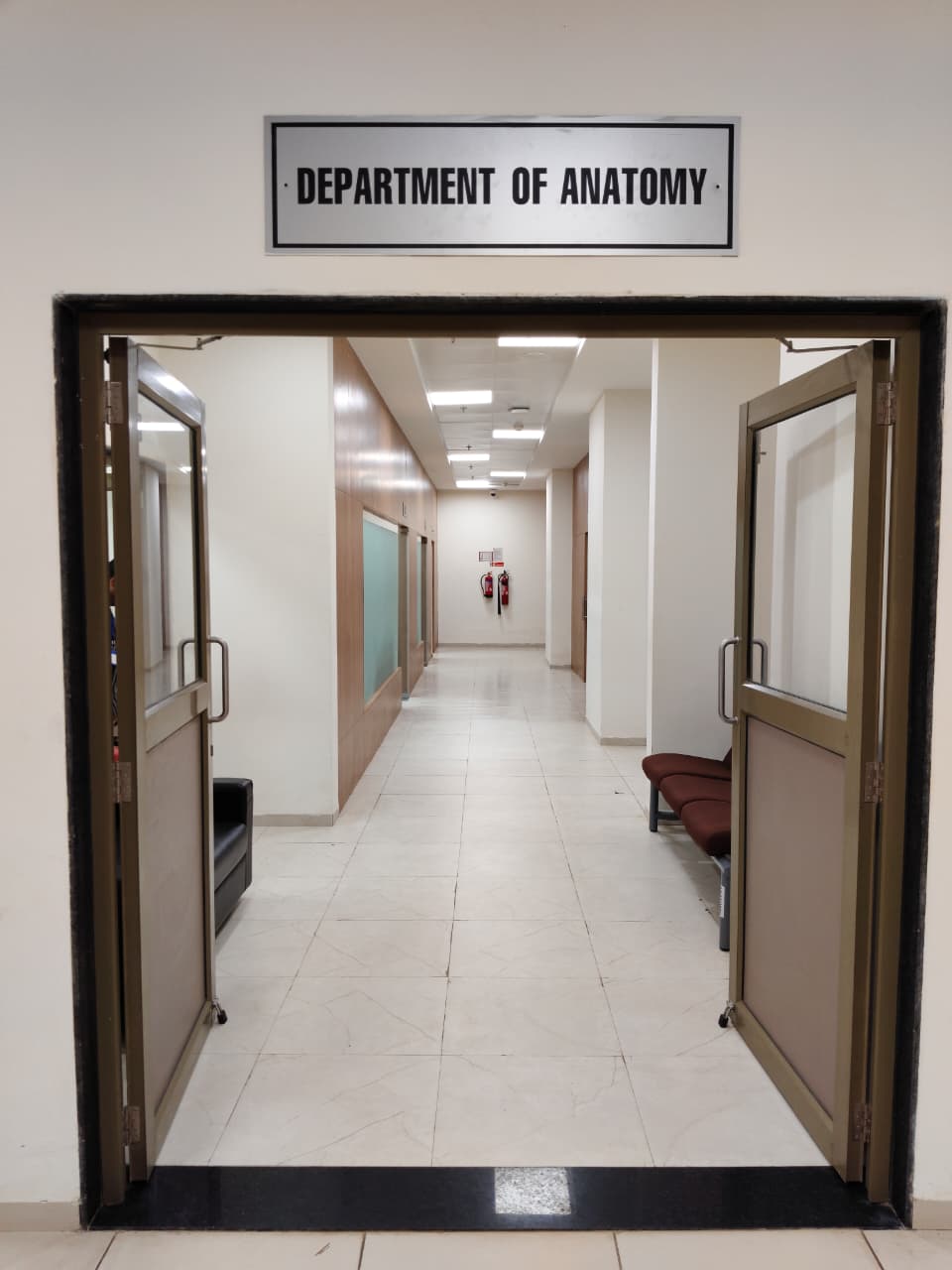 ANATOMY